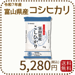 富山県産コシヒカリ 白米 5kg(5kg×1袋) 令和7年産 ヤマトライス 本店