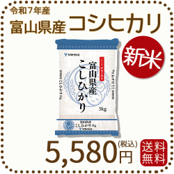 新米】富山県産コシヒカリ 白米 5kg(5kg×1袋) 令和7年産 ヤマト