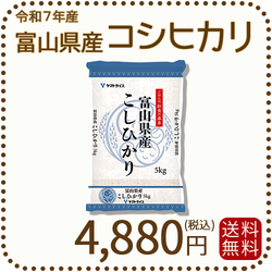 富山県産コシヒカリ 白米 5kg(5kg×1袋) 令和7年産