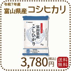 富山県産コシヒカリ 白米 5kg(5kg×1袋) 令和7年産 ※9/11最終発送