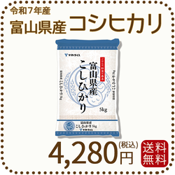富山県産コシヒカリ 白米 5kg(5kg×1袋) 令和7年産