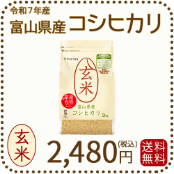 栄養機能食品】富山県産コシヒカリ 玄米 2kg(2kg×1袋) 令和7年産 窒素