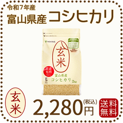 【栄養機能食品】富山県産コシヒカリ 玄米 2kg(2kg×1袋) 令和7年産 窒素充填
