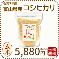 栄養機能食品】富山県産コシヒカリ 玄米 5kg(5kg×1袋) 令和7年産 脱