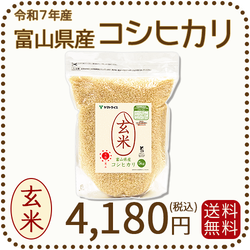 【栄養機能食品】富山県産コシヒカリ 玄米 5kg(5kg×1袋) 令和7年産 脱酸素剤