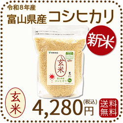 新米＞【栄養機能食品】富山県産コシヒカリ 玄米 5kg(5kg×1袋) 令和8