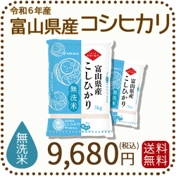 無洗米 富山県産コシヒカリ 10kg(5kg×2袋) 令和6年産 ヤマト