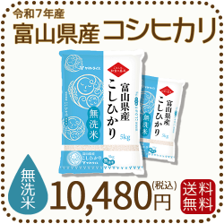 無洗米 富山県産コシヒカリ 10kg(5kg×2袋) 令和7年産 ヤマトライス 本店