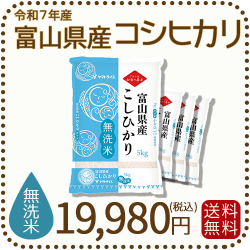 無洗米 富山県産コシヒカリ 20kg(5kg×4袋) 令和7年産 ヤマトライス 本店