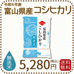 無洗米 富山県産コシヒカリ 5kg(5kg×1袋) 令和6年産 ヤマト