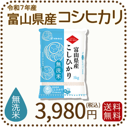 無洗米 富山県産コシヒカリ 5kg(5kg×1袋) 令和7年産 ※9/11最終発送