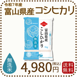 無洗米 富山県産コシヒカリ 5kg(5kg×1袋) 令和7年産