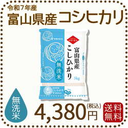 無洗米 富山県産コシヒカリ 5kg(5kg×1袋) 令和7年産