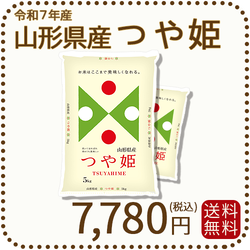 山形県産つや姫 5kg×2袋 計10kg 山形県産 つや姫 10kg(5kg×2袋)
