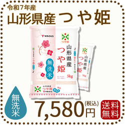山形県産 つや姫 無洗米 10kg(5kg×2袋) 令和7年産