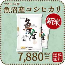 ＜新米＞【高級銘柄】 新潟県魚沼産コシヒカリ 10kg（5kg×2袋) 令和8年産