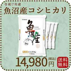 【高級銘柄】 新潟県魚沼産コシヒカリ 20kg（5kg×4袋) 令和7年産 特A