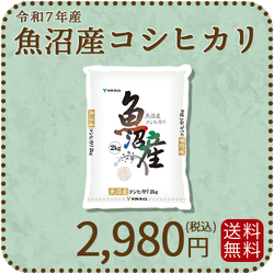 【高級銘柄】 新潟県魚沼産コシヒカリ 2kg 令和7年産 特A
