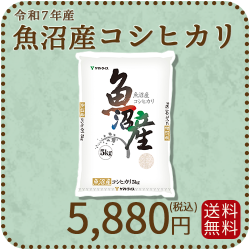 新潟県魚沼産コシヒカリ5kg