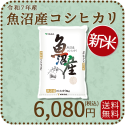 新潟県魚沼産コシヒカリ5kg