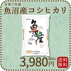 【高級銘柄】 新潟県魚沼産コシヒカリ 5kg 令和7年産 特A