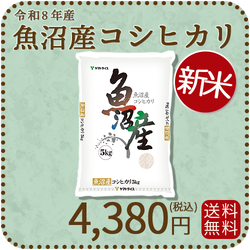 ＜新米＞【高級銘柄】 新潟県魚沼産コシヒカリ 5kg 令和8年産