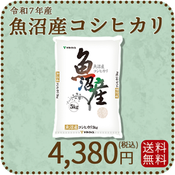 【高級銘柄】 新潟県魚沼産コシヒカリ 5kg 令和7年産 特A
