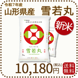 山形県産 雪若丸 10kg(5kg×2袋)