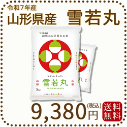 山形県産 雪若丸 10kg(5kg×2袋) 令和7年産