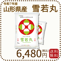山形県産 雪若丸 10kg(5kg×2袋) 令和7年産