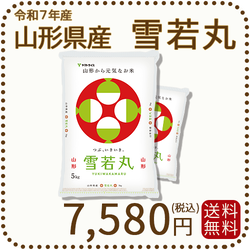 山形県産 雪若丸 10kg(5kg×2袋) 令和7年産