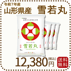 山形県産 雪若丸 20kg(5kg×4袋) 令和7年産