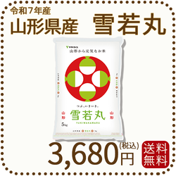 山形県産 雪若丸 5kg(5kg×1袋) 令和7年産