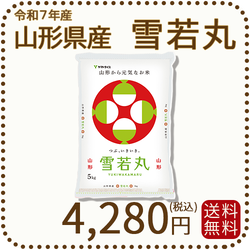 山形県産 雪若丸 5kg(5kg×1袋) 令和7年産