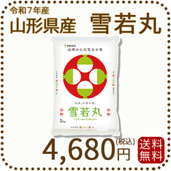 山形県産 雪若丸 5kg(5kg×1袋) 令和7年産