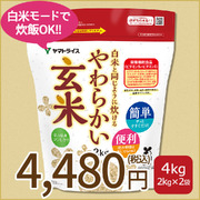 新潟県産 コシヒカリ 20kg (5kg×4) 令和7年産 ヤマトライス 本店