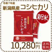 新潟県産コシヒカリ10kg