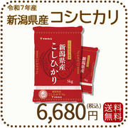 新潟県産 コシヒカリ 10kg(5kg×2) 令和7年産