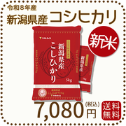 ＜新米＞ 新潟県産 コシヒカリ 10kg(5kg×2) 令和8年産