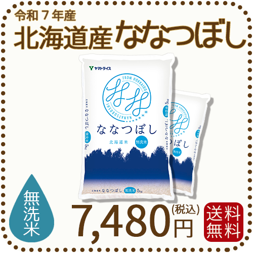 【無洗米】北海道産ななつぼし 10kg(5kg×2) 令和7年産 特A