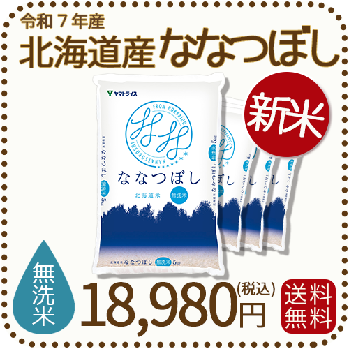 白米 北海道産　ななつぼし　20kg ななつぼし 20kg」の人気商品一覧 | 安い商品を通販サイトから