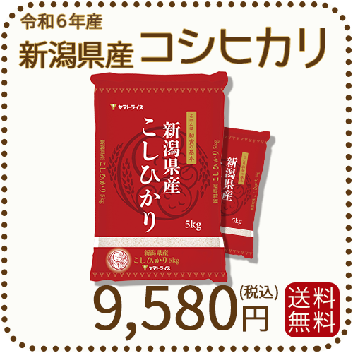 新潟県産 コシヒカリ 10kg(5kg×2) 令和6年産 ヤマトライス 本店