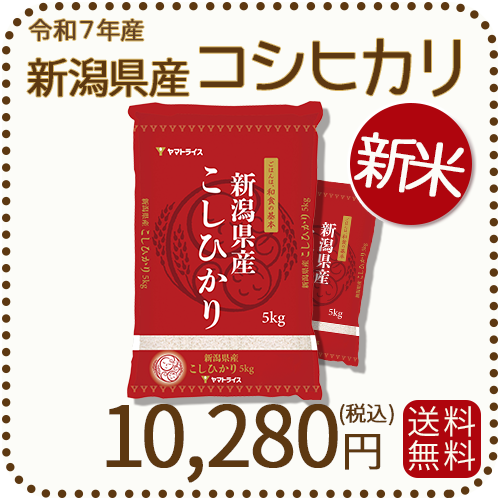 令和6年収穫　新潟県産こしひかり　白米 10kg コシヒカリ 令和7年産 新米 お米 10kg 特別栽培米 昔ながらの