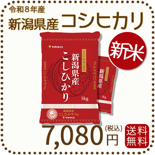 新米＞ 新潟県産 コシヒカリ 10kg(5kg×2) 令和8年産 ヤマトライス 本店
