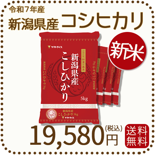 新潟県産 コシヒカリ 20kg (5kg×4袋) ヤマダモール | 新米 米 20kg 新潟県産 コシヒカリ 5kg×4袋 令和