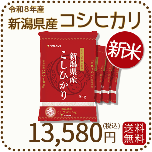 新米＞ 新潟県産 コシヒカリ 20kg (5kg×4) 令和8年産 ヤマトライス 本店