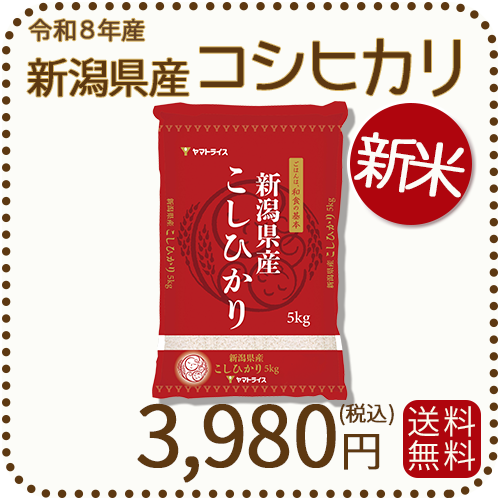 新米＞ 新潟県産 コシヒカリ 5kg 令和8年産 ヤマトライス 本店