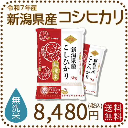 無洗米 新潟県産 コシヒカリ 10kg (5kg×2) 令和7年産