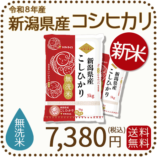 ＜新米＞ 無洗米 新潟県産 コシヒカリ 10kg (5kg×2) 令和8年産