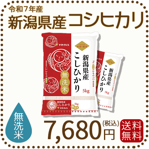 無洗米 新潟県産 コシヒカリ 10kg (5kg×2) 令和7年産